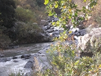 cantara gurne23122011 159
